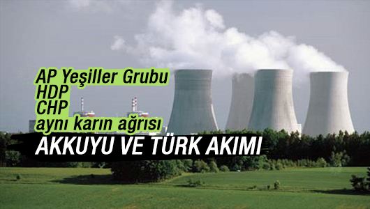 Arzu Erdoğral : Asıl rahatsızlık Akkuyu ve Türk Akımı! 