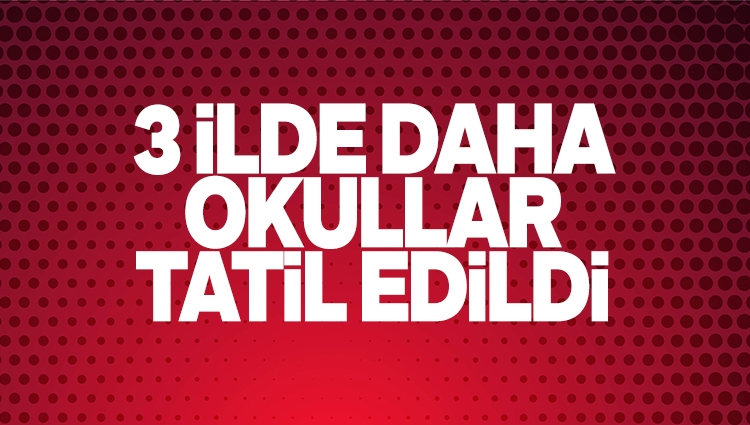 İstanbul'un ardından 3 ilde daha okullar tatil edildi