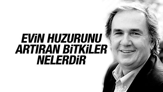 Prof. Dr. İbrahim Saraçoğlu anlatıyor.