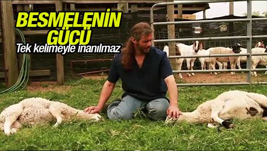 Besmele karşısında kurbanın teslimiyeti