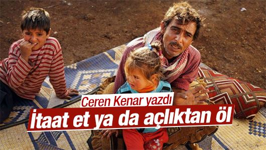 Ceren Kenar : İtaat et ya da açlıktan öl