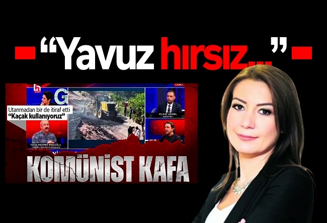 Dilek Güngör : Yavuz hırsız...