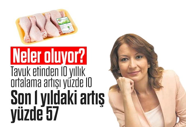 Dilek Güngör : Bu tavuklar altın mı yumurtluyor!