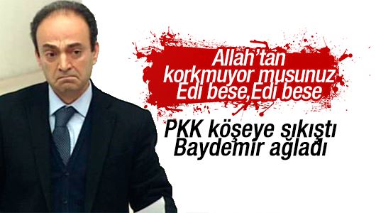 Baydemir ağladı !