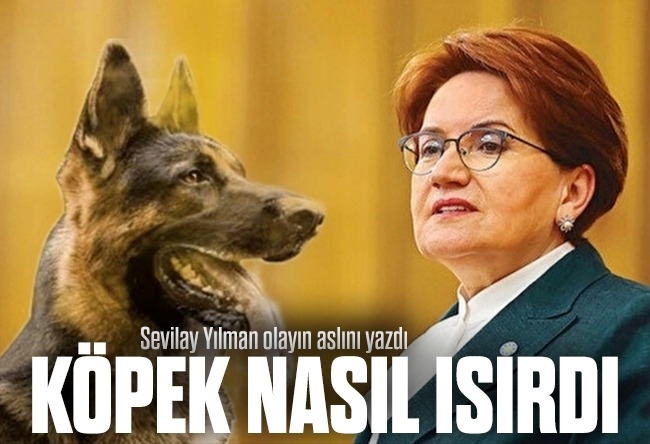 Sevilay Yılman : Meral Akşener’i ısıran köpek ve gerçek hikayesi