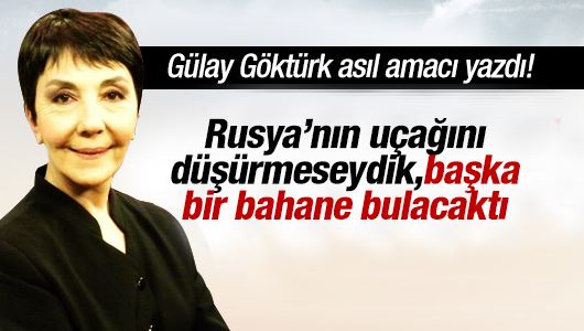 Gülay Göktürk : Uçak krizinde sebep sonuç ilişkileri