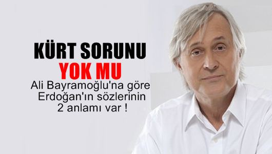 Ali Bayramoğlu : Kürt sorunu yok mu? 