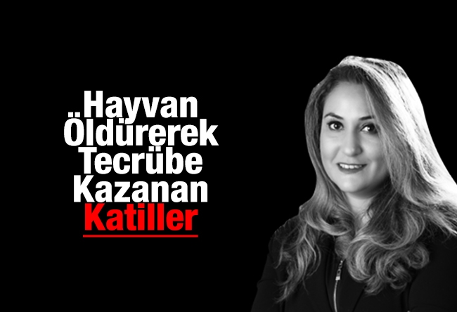 Elvan Alkaya : Hayvan Öldürerek Tecrübe Kazanan Katiller