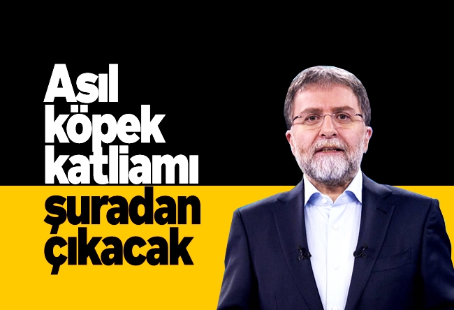 Ahmet Hakan : Asıl köpek katliamı şuradan çıkacak