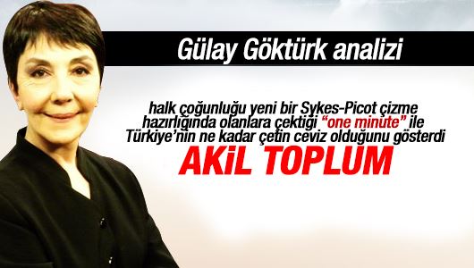 Gülay Göktürk : Akil toplum 