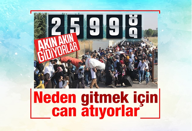 Ersoy DEDE : Neden gitmek için can atıyorlar sizce?