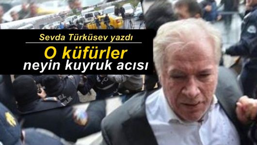 Sevda Türküsev : Ya “linç” edersiniz ya da “küfür…”