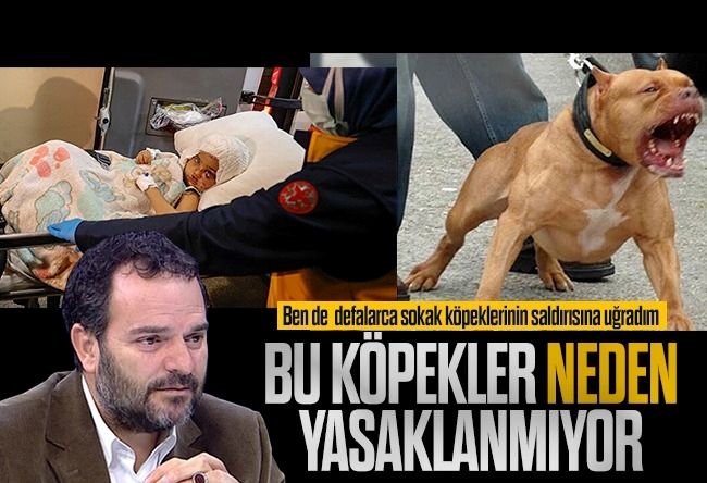 Kemal Öztürk : Sokak köpekleri başıboş dolaşmasın artık