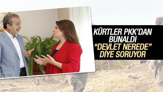 Mehdi Eker : Kürtler PKK’dan bunaldı ‘devlet nerede’ diye soruyor 