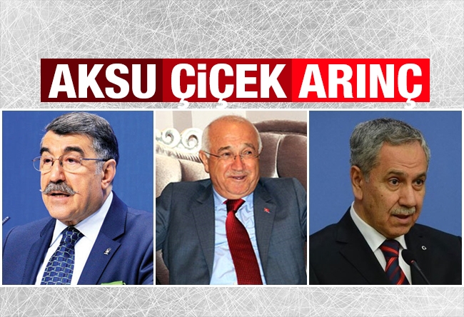 Candaş Tolga Işık : Aksu, Çiçek ve Arınç