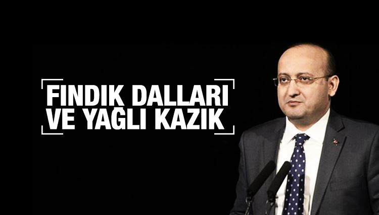 Yalçın AKDOĞAN : Fındık dalları ve yağlı kazık