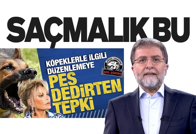 Ahmet Hakan : Beni de uyutun saçmalığı