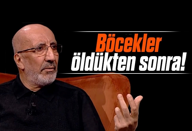 Abdurrahman Dilipak : Böcekler öldükten sonra!