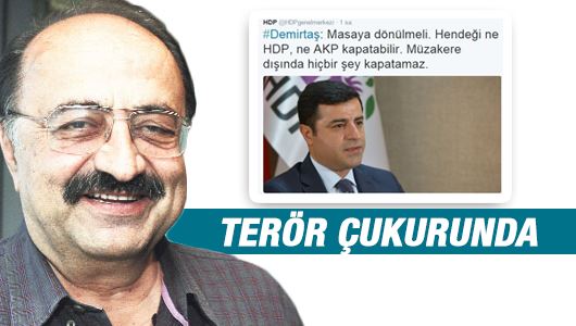 Melih Aşık : Terör çukurunda... 