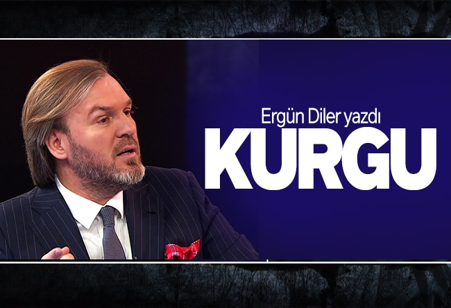 Ergün Diler : Kurgu