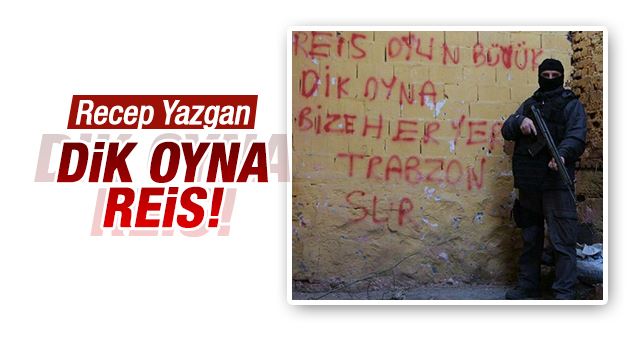 Recep Yazgan : Dik oyna Reis!