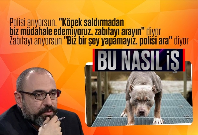 Mevlüt Tezel : Pitbull için polis ‘zabıtayı ara’, zabıta da ‘polisi ara’ diyor