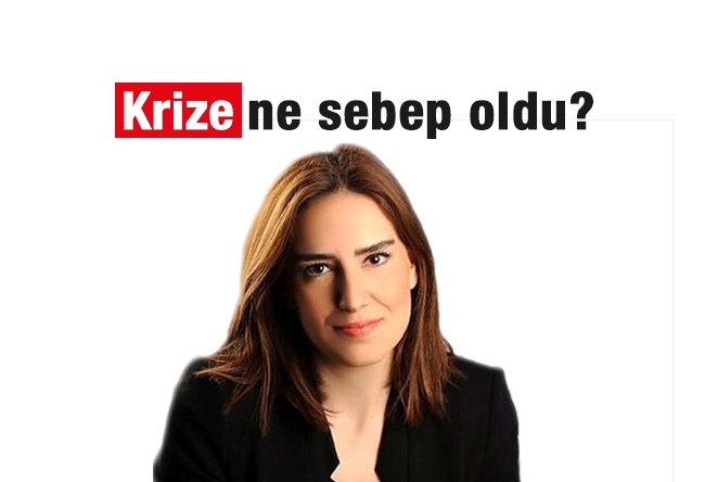 Verda Özer : Krize ne sebep oldu?