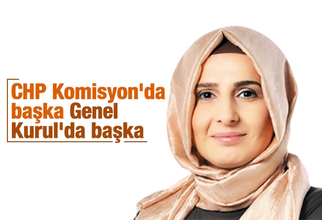 Halime KÖKÇE : CHP Komisyon'da başka Genel Kurul'da başka 