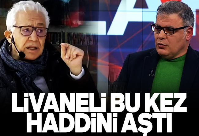 Mehmet Beyhan : Livaneli Zülfü Toplumu Kutuplaştırıyor